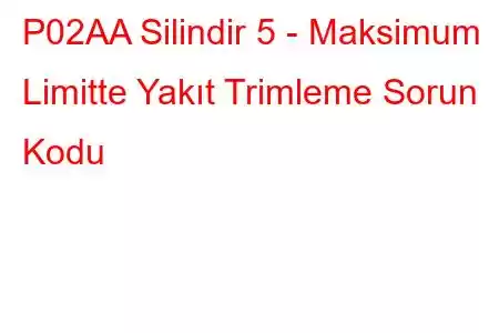 P02AA Silindir 5 - Maksimum Limitte Yakıt Trimleme Sorun Kodu