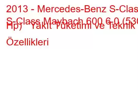 2013 - Mercedes-Benz S-Class
S-Class Maybach 600 6.0 (530 Hp) Yakıt Tüketimi ve Teknik Özellikleri