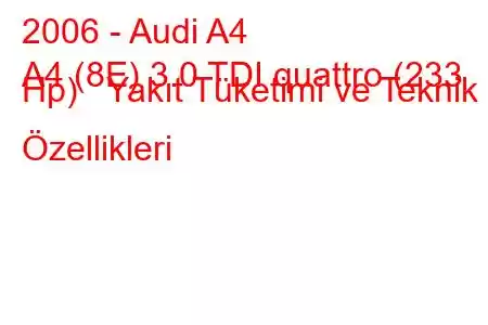 2006 - Audi A4
A4 (8E) 3.0 TDI quattro (233 Hp) Yakıt Tüketimi ve Teknik Özellikleri