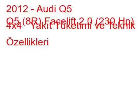 2012 - Audi Q5
Q5 (8R) Facelift 2.0 (230 Hp) 4x4 Yakıt Tüketimi ve Teknik Özellikleri