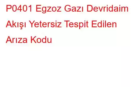 P0401 Egzoz Gazı Devridaim Akışı Yetersiz Tespit Edilen Arıza Kodu