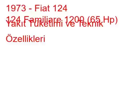 1973 - Fiat 124
124 Familiare 1200 (65 Hp) Yakıt Tüketimi ve Teknik Özellikleri