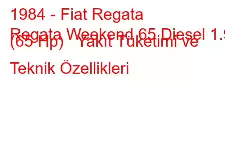 1984 - Fiat Regata
Regata Weekend 65 Diesel 1.9 (65 Hp) Yakıt Tüketimi ve Teknik Özellikleri