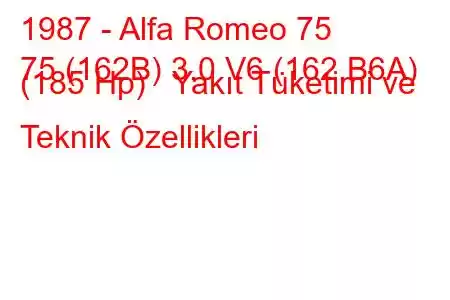 1987 - Alfa Romeo 75
75 (162B) 3.0 V6 (162.B6A) (185 Hp) Yakıt Tüketimi ve Teknik Özellikleri