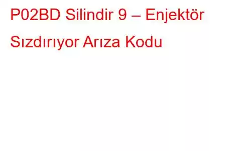 P02BD Silindir 9 – Enjektör Sızdırıyor Arıza Kodu