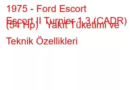 1975 - Ford Escort
Escort II Turnier 1.3 (CADR) (54 Hp) Yakıt Tüketimi ve Teknik Özellikleri