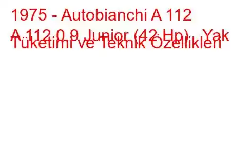 1975 - Autobianchi A 112
A 112 0.9 Junior (42 Hp) Yakıt Tüketimi ve Teknik Özellikleri