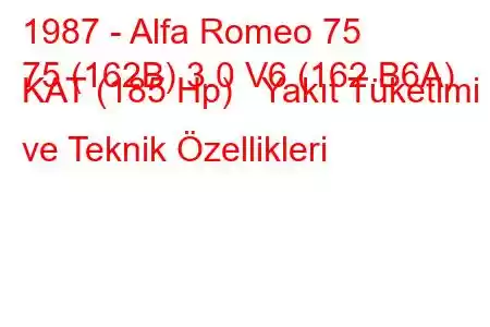 1987 - Alfa Romeo 75
75 (162B) 3.0 V6 (162.B6A) KAT (185 Hp) Yakıt Tüketimi ve Teknik Özellikleri