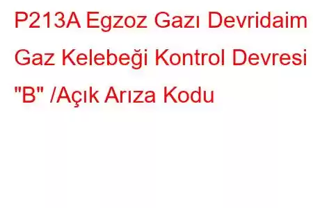 P213A Egzoz Gazı Devridaim Gaz Kelebeği Kontrol Devresi 