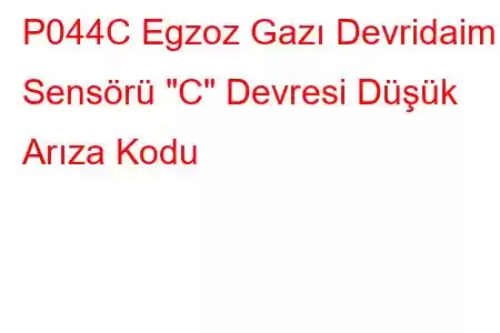 P044C Egzoz Gazı Devridaim Sensörü 