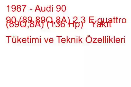 1987 - Audi 90
90 (89,89Q,8A) 2.3 E quattro (89Q,8A) (136 Hp) Yakıt Tüketimi ve Teknik Özellikleri