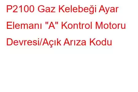 P2100 Gaz Kelebeği Ayar Elemanı 