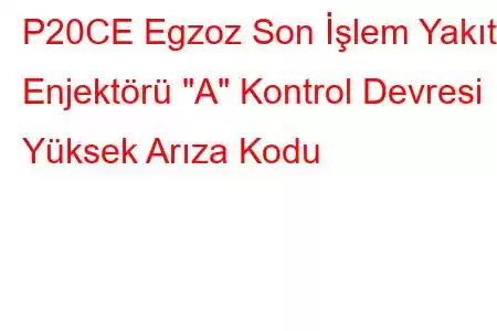 P20CE Egzoz Son İşlem Yakıt Enjektörü 