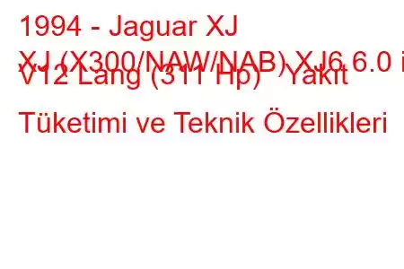 1994 - Jaguar XJ
XJ (X300/NAW/NAB) XJ6 6.0 i V12 Lang (311 Hp) Yakıt Tüketimi ve Teknik Özellikleri