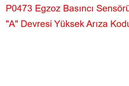 P0473 Egzoz Basıncı Sensörü 