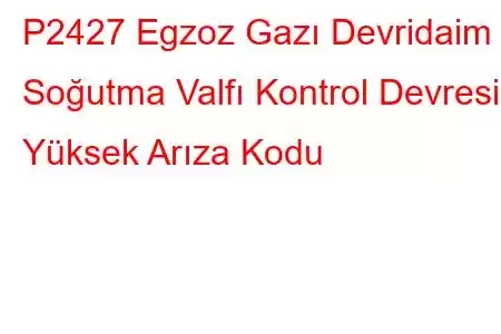 P2427 Egzoz Gazı Devridaim Soğutma Valfı Kontrol Devresi Yüksek Arıza Kodu