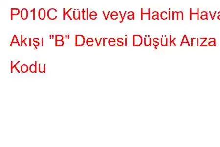 P010C Kütle veya Hacim Hava Akışı 