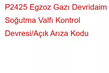 P2425 Egzoz Gazı Devridaim Soğutma Valfı Kontrol Devresi/Açık Arıza Kodu