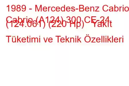 1989 - Mercedes-Benz Cabrio
Cabrio (A124) 300 CE-24 (124.061) (220 Hp) Yakıt Tüketimi ve Teknik Özellikleri