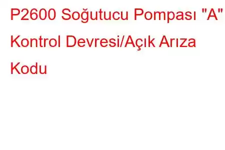 P2600 Soğutucu Pompası 