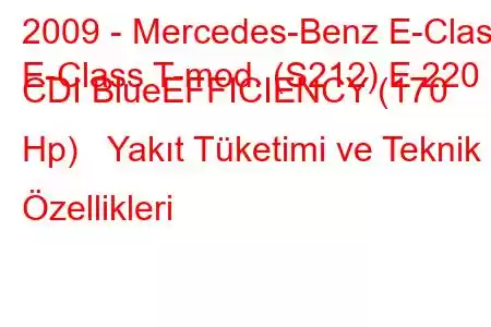 2009 - Mercedes-Benz E-Class
E-Class T-mod. (S212) E 220 CDI BlueEFFICIENCY (170 Hp) Yakıt Tüketimi ve Teknik Özellikleri