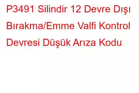 P3491 Silindir 12 Devre Dışı Bırakma/Emme Valfi Kontrol Devresi Düşük Arıza Kodu