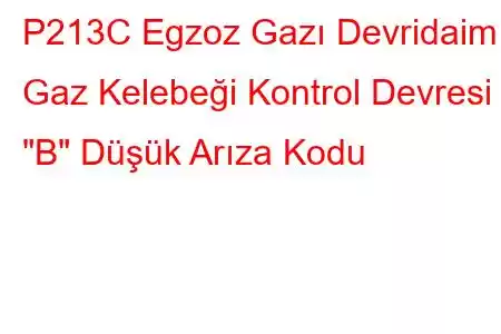 P213C Egzoz Gazı Devridaim Gaz Kelebeği Kontrol Devresi 