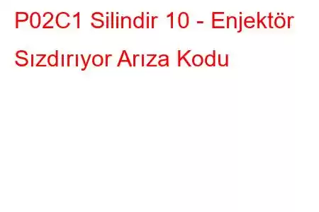 P02C1 Silindir 10 - Enjektör Sızdırıyor Arıza Kodu