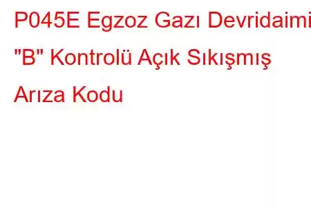 P045E Egzoz Gazı Devridaimi 