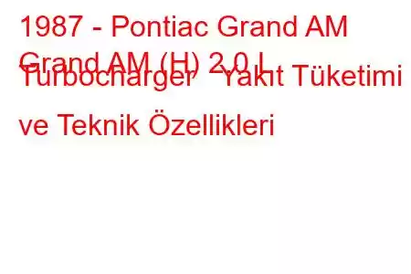 1987 - Pontiac Grand AM
Grand AM (H) 2.0 L Turbocharger Yakıt Tüketimi ve Teknik Özellikleri