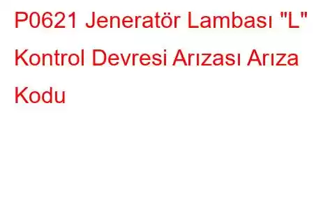 P0621 Jeneratör Lambası 