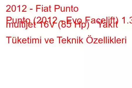 2012 - Fiat Punto
Punto (2012 - Evo Facelift) 1.3 multijet 16V (85 Hp) Yakıt Tüketimi ve Teknik Özellikleri