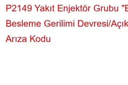 P2149 Yakıt Enjektör Grubu 