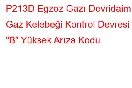 P213D Egzoz Gazı Devridaim Gaz Kelebeği Kontrol Devresi 