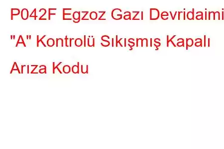 P042F Egzoz Gazı Devridaimi 