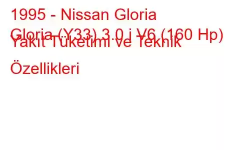 1995 - Nissan Gloria
Gloria (Y33) 3.0 i V6 (160 Hp) Yakıt Tüketimi ve Teknik Özellikleri