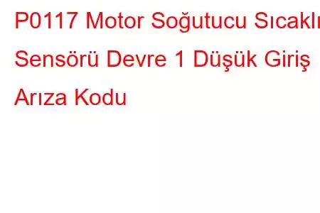 P0117 Motor Soğutucu Sıcaklık Sensörü Devre 1 Düşük Giriş Arıza Kodu