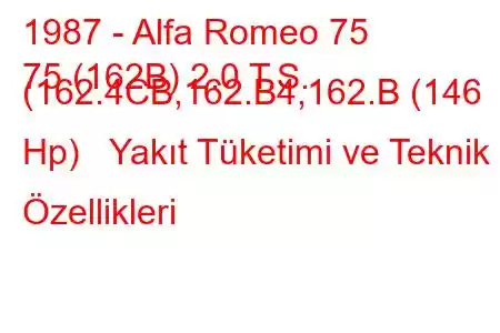 1987 - Alfa Romeo 75
75 (162B) 2.0 T.S. (162.4CB,162.B4,162.B (146 Hp) Yakıt Tüketimi ve Teknik Özellikleri