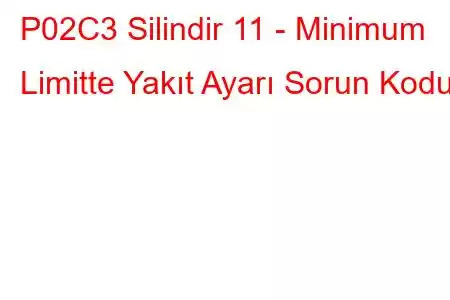 P02C3 Silindir 11 - Minimum Limitte Yakıt Ayarı Sorun Kodu