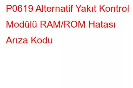 P0619 Alternatif Yakıt Kontrol Modülü RAM/ROM Hatası Arıza Kodu