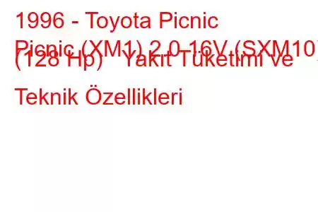 1996 - Toyota Picnic
Picnic (XM1) 2.0 16V (SXM10) (128 Hp) Yakıt Tüketimi ve Teknik Özellikleri