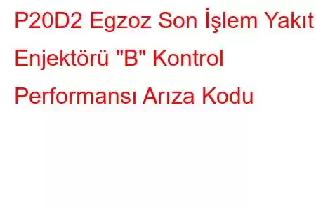 P20D2 Egzoz Son İşlem Yakıt Enjektörü 