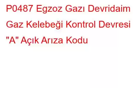 P0487 Egzoz Gazı Devridaim Gaz Kelebeği Kontrol Devresi 