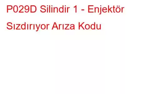 P029D Silindir 1 - Enjektör Sızdırıyor Arıza Kodu