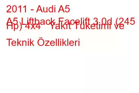 2011 - Audi A5
A5 Liftback Facelift 3.0d (245 Hp) 4x4 Yakıt Tüketimi ve Teknik Özellikleri