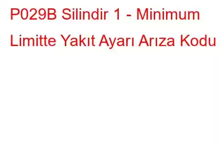 P029B Silindir 1 - Minimum Limitte Yakıt Ayarı Arıza Kodu