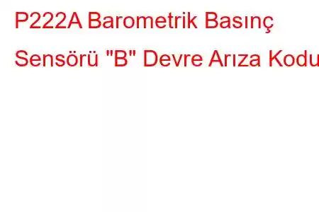 P222A Barometrik Basınç Sensörü 