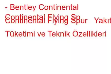 - Bentley Continental
Continental Flying Sp Continental Flying Spur Yakıt Tüketimi ve Teknik Özellikleri