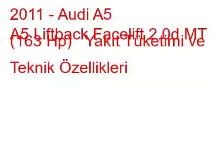 2011 - Audi A5
A5 Liftback Facelift 2.0d MT (163 Hp) Yakıt Tüketimi ve Teknik Özellikleri