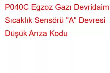 P040C Egzoz Gazı Devridaim Sıcaklık Sensörü 